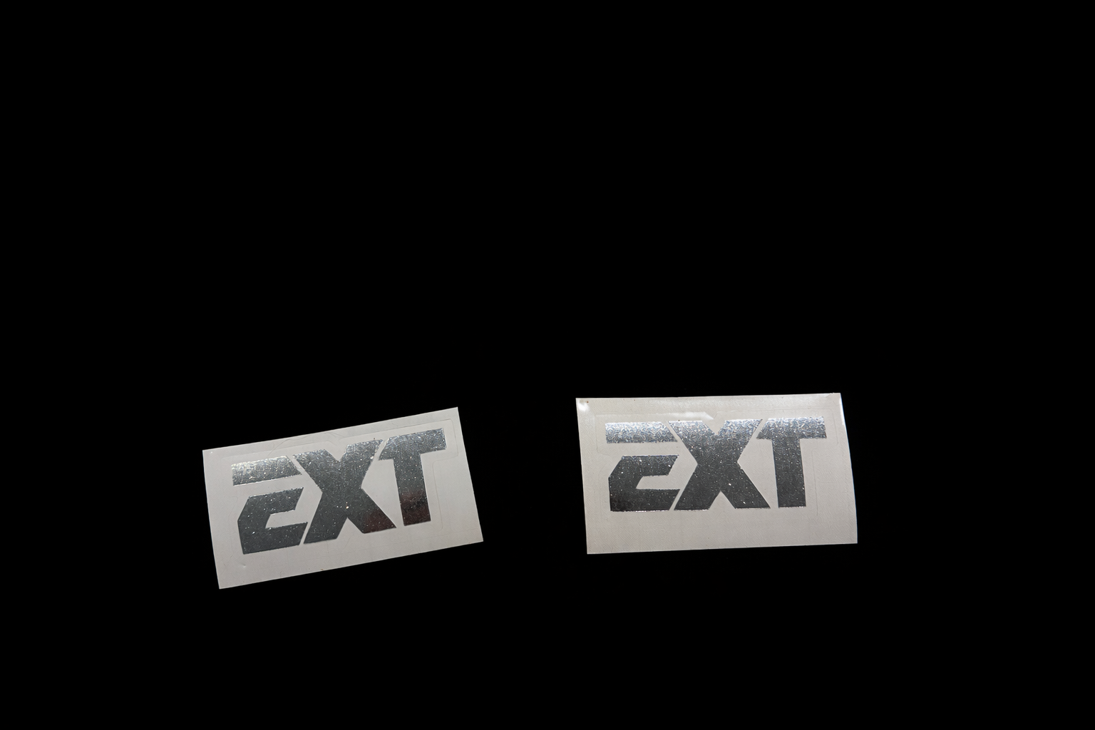EXT fork tube decals